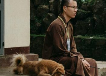 庶民公爆：起源