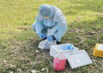 恆春山海出現鼬獾狂犬病陽性  請民眾快為犬貓補強狂犬病疫苗平安過好年