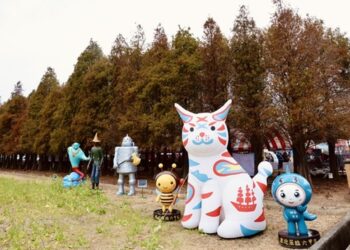 台南六甲嫣紅落羽松盛大綻放