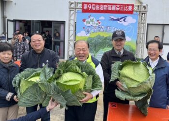 第9屆澎湖新高麗菜王比賽 巨無霸高麗菜震撼全場