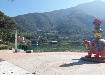 南投埔里鎮鯉魚潭環潭景觀步道春節期間開放使用