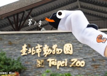 初一至初三臺北動物園蛇年設計款門票、一元復始蛇年開運金  等你走春來蒐藏