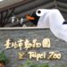 初一至初三臺北動物園蛇年設計款門票、一元復始蛇年開運金 等你走春來蒐藏
