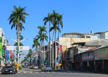 大王椰子是古巴國樹  屏東市中正路，還有屏女 屏工 郵政總局都有