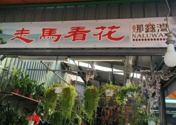 屏東市娜魯灣的走馬看花園藝店    春節前生意紅火