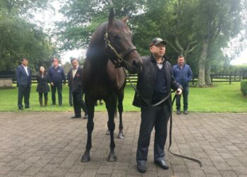 王振山博士系列報導之三 – 介紹共同著作《馬與我》