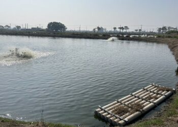 春節防寒不打烊  年假首波寒流來襲  海洋局提醒養殖朋友提前啟動防寒措施