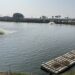 春節防寒不打烊  年假首波寒流來襲  海洋局提醒養殖朋友提前啟動防寒措施