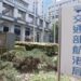 航港局公告:多條航線因天氣停航  請密切關注資訊