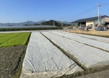 寒流將近  請農民加強防範低溫