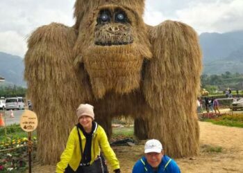 台東富野  記得和金鋼大猩猩合影