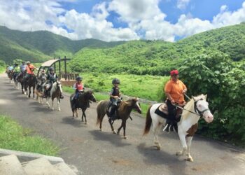 迷你馬  小騎士  跟著野外騎乘  車城特有的休閒