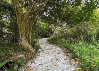 溪口部落嶄新風貌觀光迎新春   展現自然與文化之美