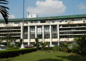 菲律賓宣布糧食安全緊急狀態 啟用大米儲備穩定供應