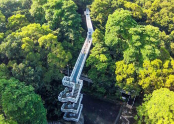 嘉義竹崎親子遊：紙藝、茶香、鐵道與美食的完美結合