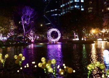 2025竹北光節「水生繁花」璀璨登場        水圳公園成光影交錯夢幻國度