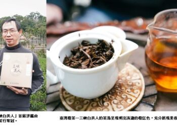 豐富果香 新北三峽推新興茶品「臺灣橙茶」