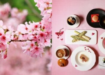 櫻色飛舞浪漫春旅涵碧樓　靜賞櫻花品味春日雅宴