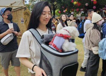 台南6文化景點寵物入園抽好禮開跑