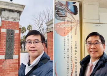 李偉俊教授訪日講學 深化台日學術合作與昆蟲研究交流