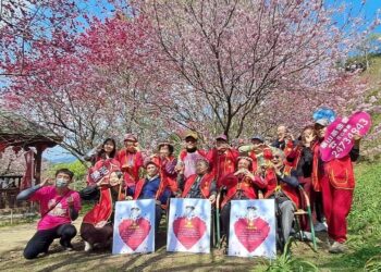 華山基金會陪伴孤老賞櫻 迎春日