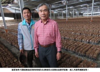 侯進居與李藍柚共譜「異國蘑菇情」