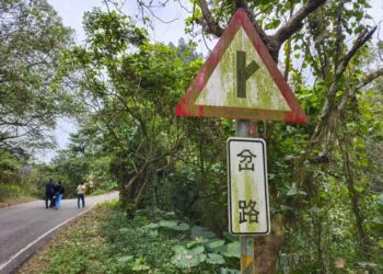 交通號誌長青苔？該誰管？