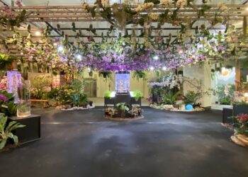 沉浸式蘭花生活美學展  體現屏東未來超質感