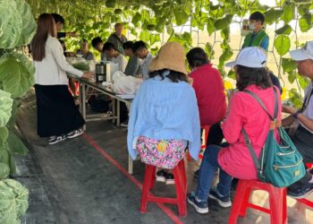 「屏東旺來 棗到幸福」 屏東鳳梨與蜜棗農業物產館甜蜜登場  　　