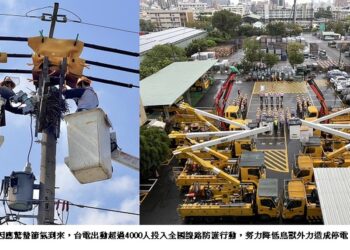 驚蟄到來 台電出動逾4000人強化供電穩定 防鳥獸停電