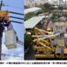 驚蟄到來 台電出動逾4000人強化供電穩定 防鳥獸停電