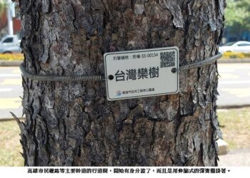 高雄市政府開竅了 終於給行道樹一枚「 身分證」