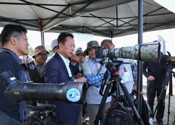 候鳥經濟帶動生態與社區共存 2025布袋候鳥季～聽春雨．看春羽