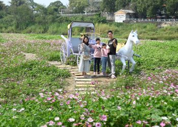 2025中埔春嬉風鈴賞花音樂會絢麗奪目