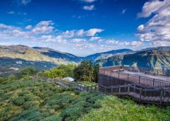 瑞里紫藤花季遊程升級 嘉義縣推出親子家庭系列活動