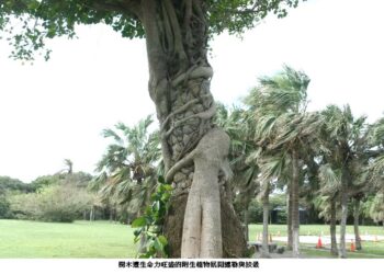 蛇年笑談人體「皮蛇」與樹木「纏勒」