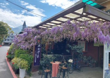 小小泡茶師、限量品茗杯深獲遊客喜愛 嘉義瑞里紫藤花季盛開