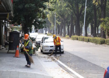 市府籲行車安全平安回家 最美桃花心木廊道落葉期