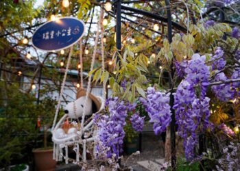 品味家族傳承獨特風味 紫藤花季走進瑞里小公主咖啡