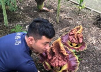 2025國際森林日，林業及自然保育署頒發優秀國家森林護管員及傑出調查監測志工，計有三位佼佼者代表屏東分署受獎！