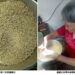大樹龍眼花茶 花香極致品味