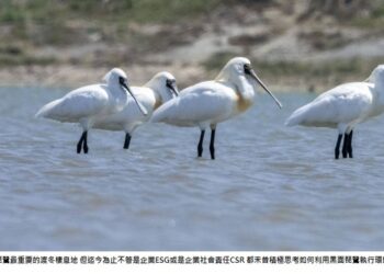 期待新的模式：關於永續，我們可以做些什麼？