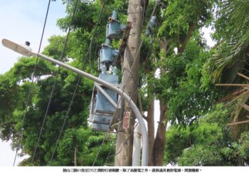 市府種錯樹的責任或是高壓電纜惹的禍？