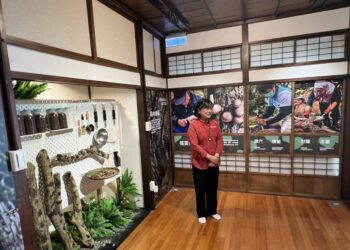 《揭秘森林下的聚寶盆》 於林業及自然保育署的保育小站和大家分享「林下經濟與家庭農園機」的演講活動