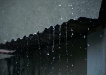 〈庶民公爆第六篇：若無互相的心，何來風雨生信心？〉