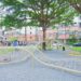 竹北新社樹網公園啟用 「樹與遊具共舞」為一大亮點