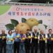 農友曾瑞東勇奪寶島甘露梨王！台中市寶島甘露梨果品評鑑結果揭曉
