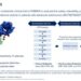 2026 ASCO | 科倫博泰創新B7-H3 ADC SKB500首次人體研究數據公布