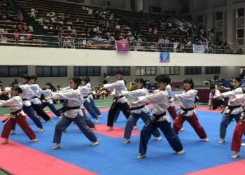 113學年度全國中等學校跆拳道錦標賽   新營體育館隆重登場