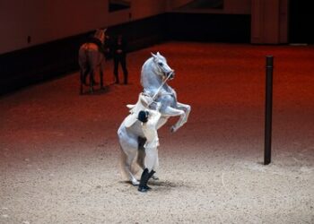 阿布札比皇家馬術藝術學院—-全球第五所古典馬術學院正式啟幕